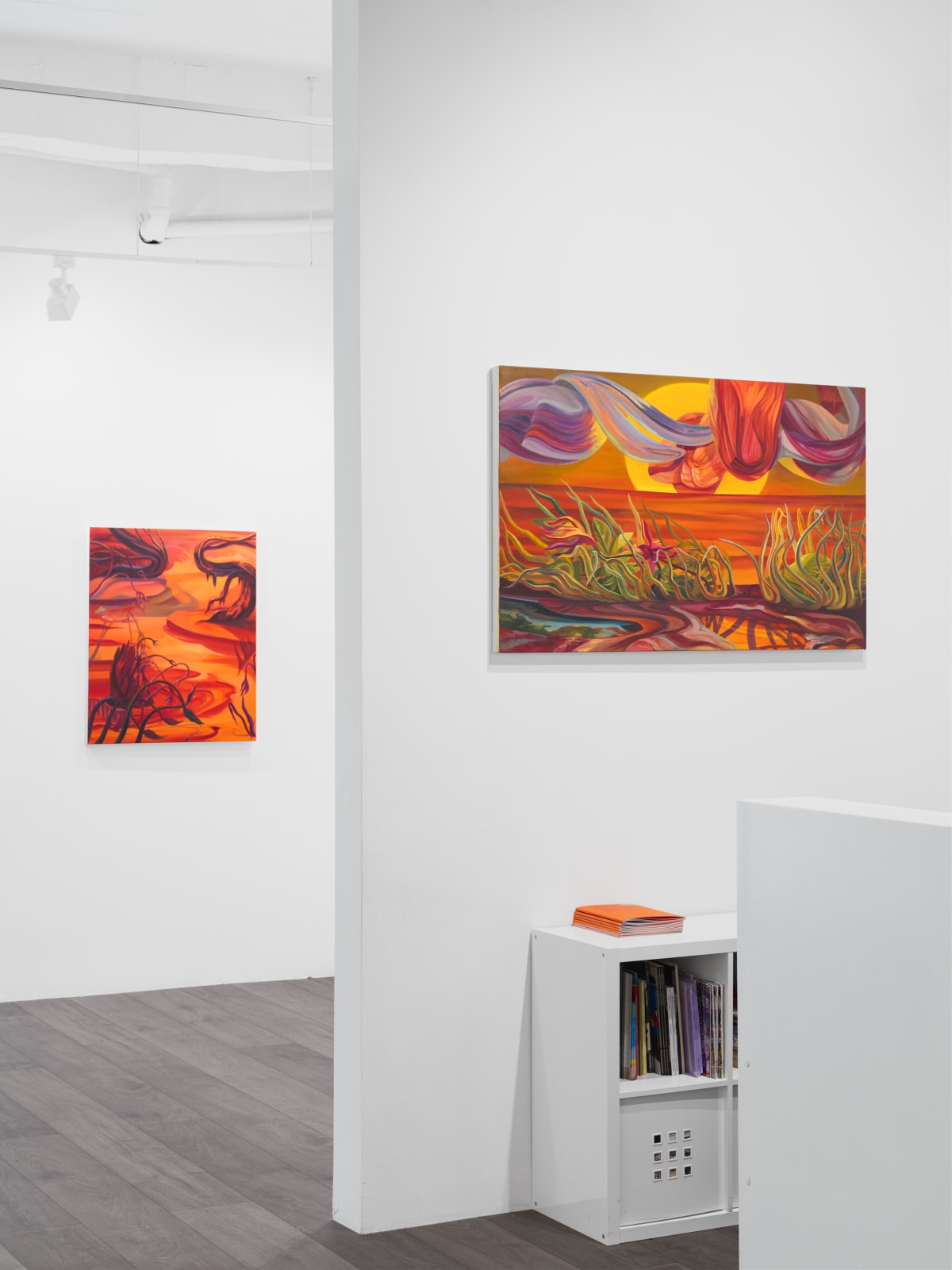 Installation view: Rachel MacFarlane: Coming Events Cast Their Light Before Them