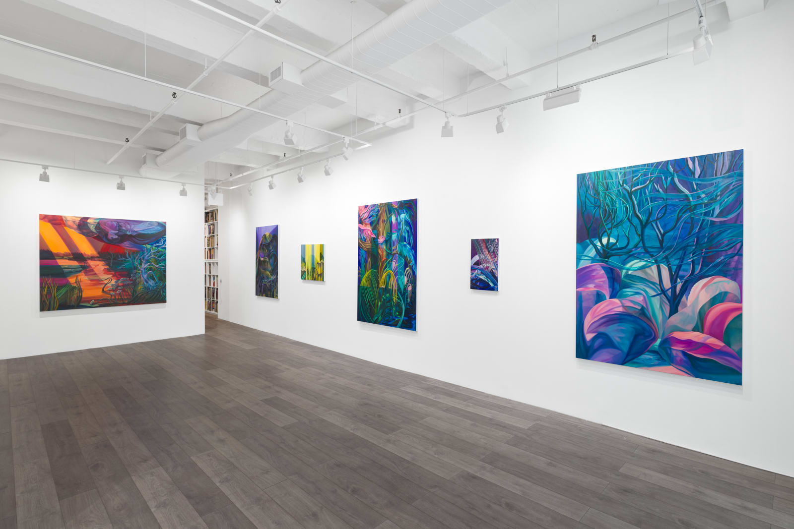 Installation view: Rachel MacFarlane: Coming Events Cast Their Light Before Them