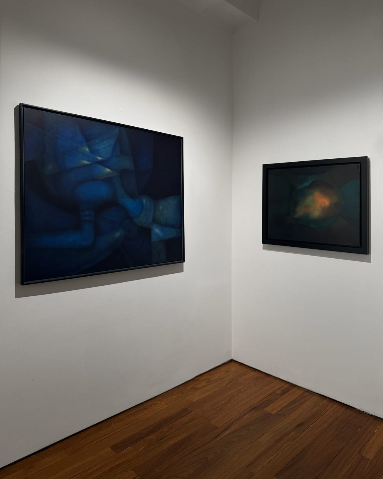 Installation view: In Focus: Rafael Soriano