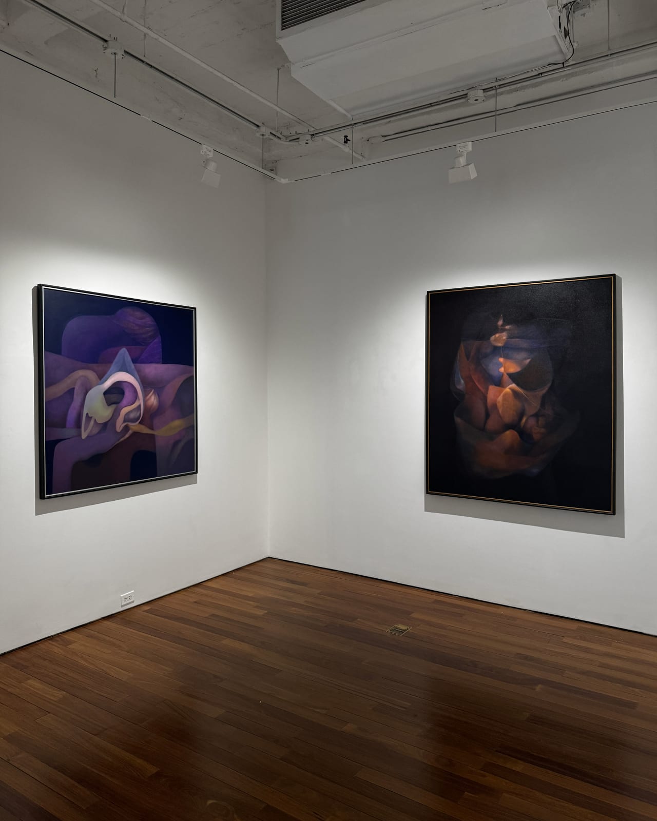 Installation view: In Focus: Rafael Soriano