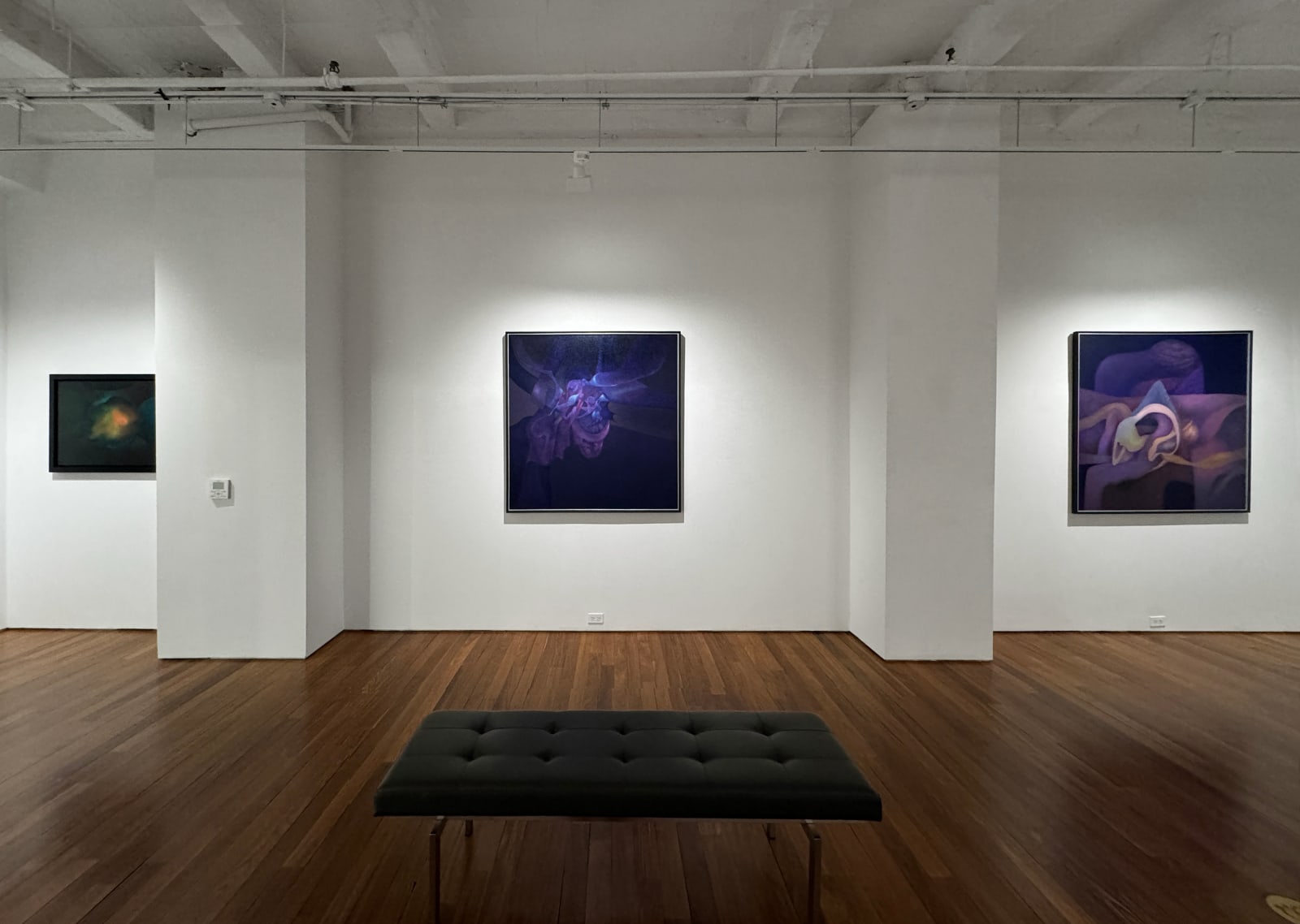 Installation view: In Focus: Rafael Soriano