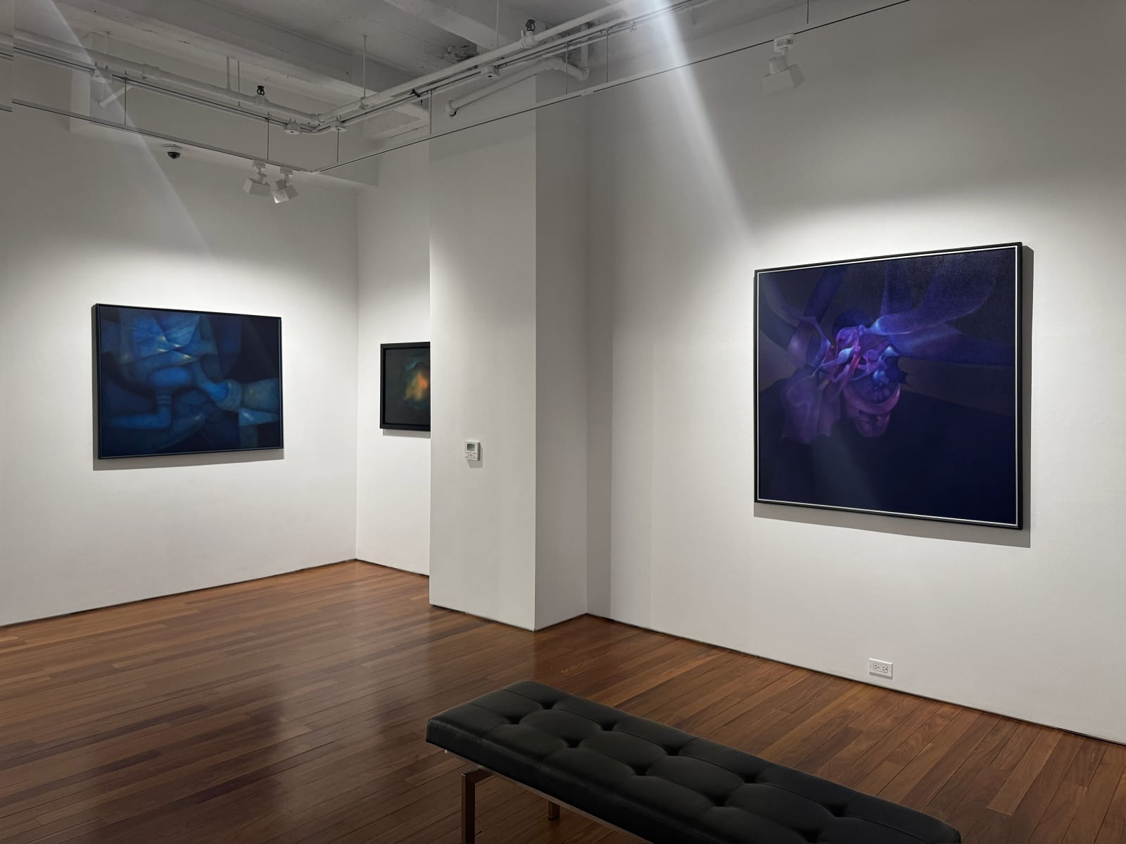 Installation view: In Focus: Rafael Soriano