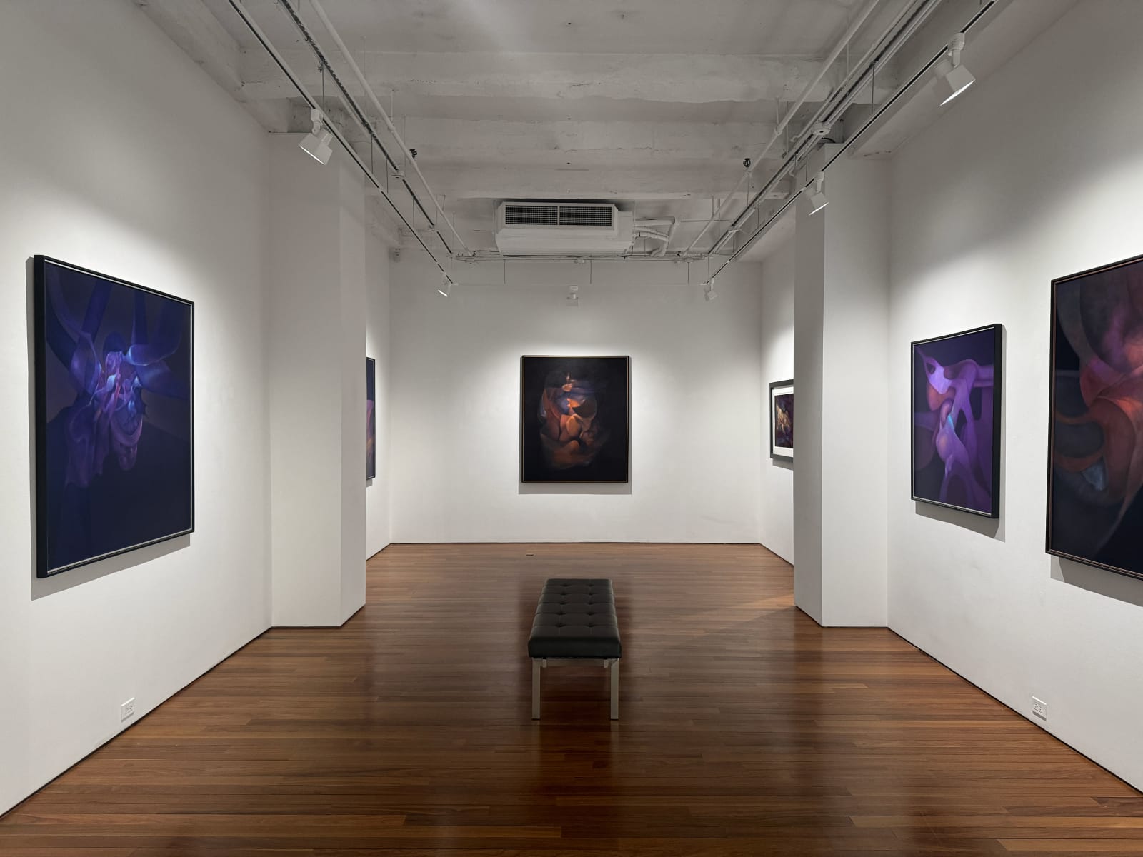 Installation view: In Focus: Rafael Soriano
