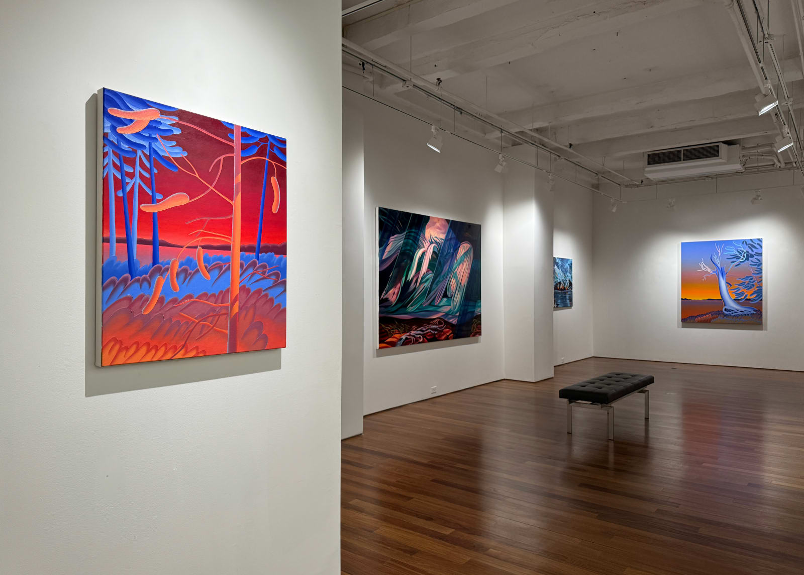 Installation view: the world is big and i want to have a good look at it before it gets dark