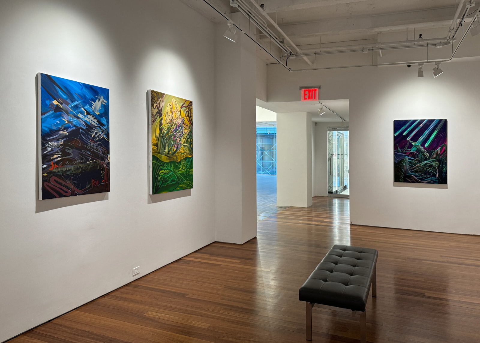 Installation view: the world is big and i want to have a good look at it before it gets dark