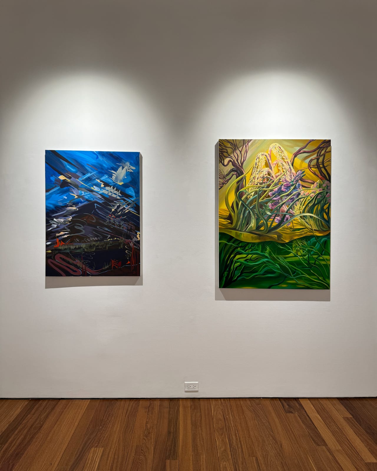 Installation view: the world is big and i want to have a good look at it before it gets dark