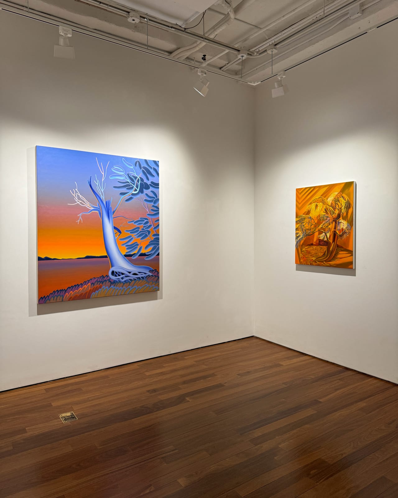 Installation view: the world is big and i want to have a good look at it before it gets dark