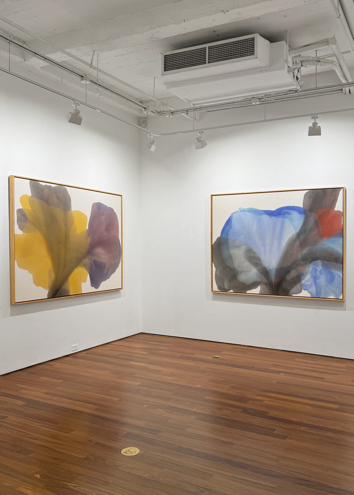 Installation view: Irene Monat Stern: I Cast My Own Shadow