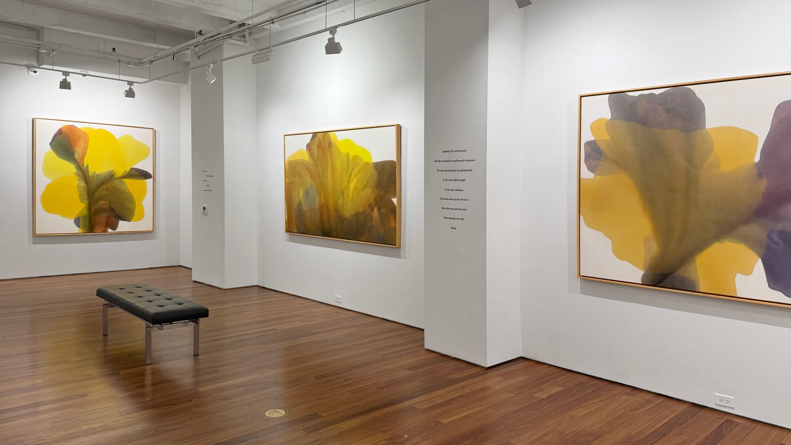Installation view: Irene Monat Stern: I Cast My Own Shadow