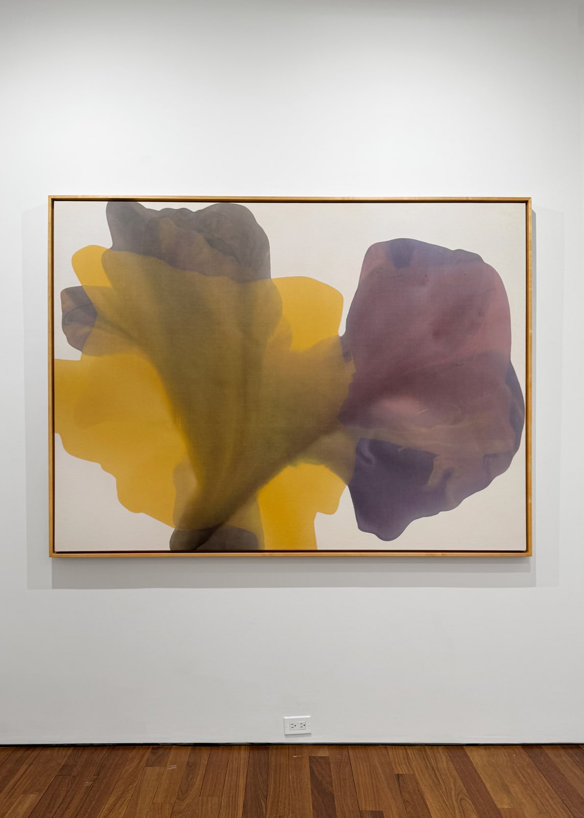 Installation view: Irene Monat Stern: I Cast My Own Shadow