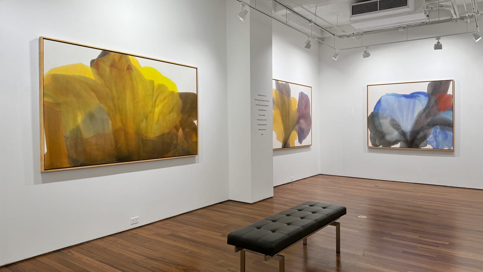 Installation view: Irene Monat Stern: I Cast My Own Shadow