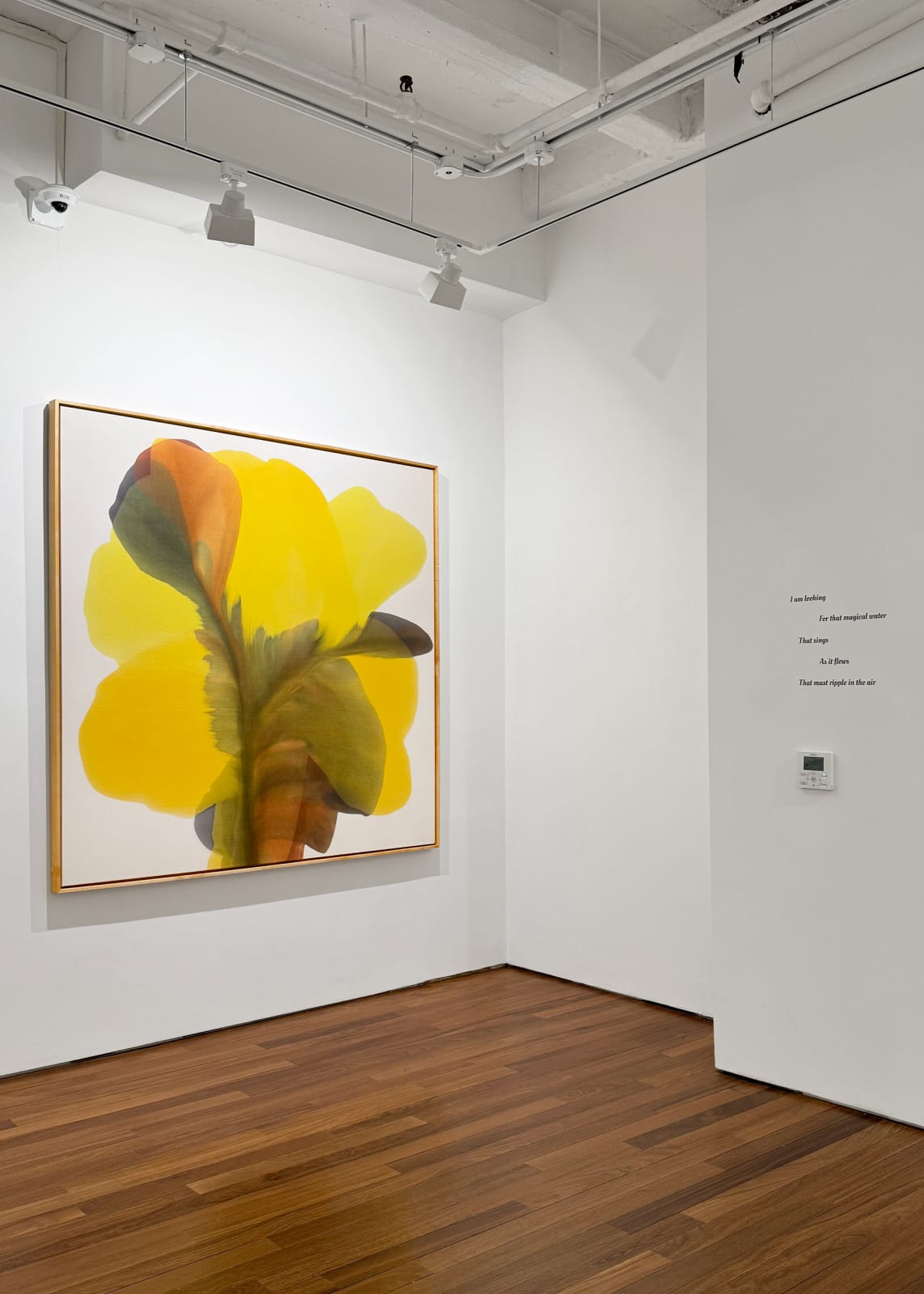 Installation view: Irene Monat Stern: I Cast My Own Shadow