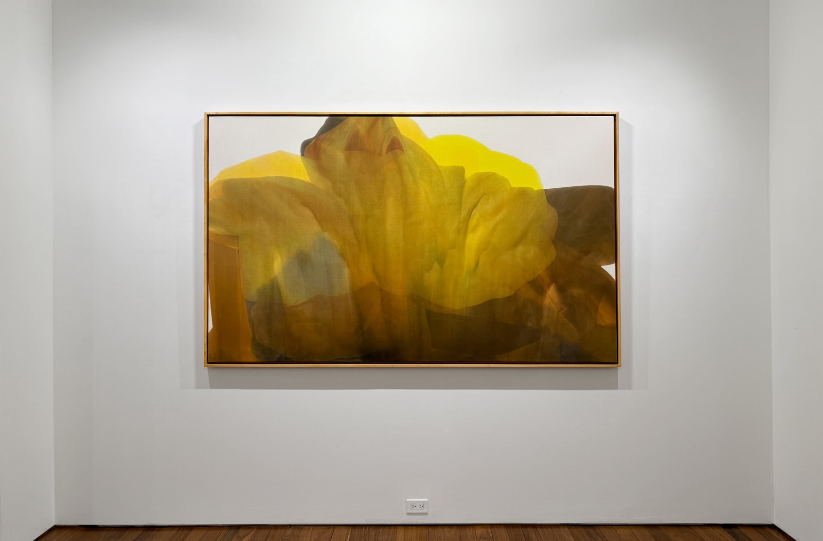 Installation view: Irene Monat Stern: I Cast My Own Shadow