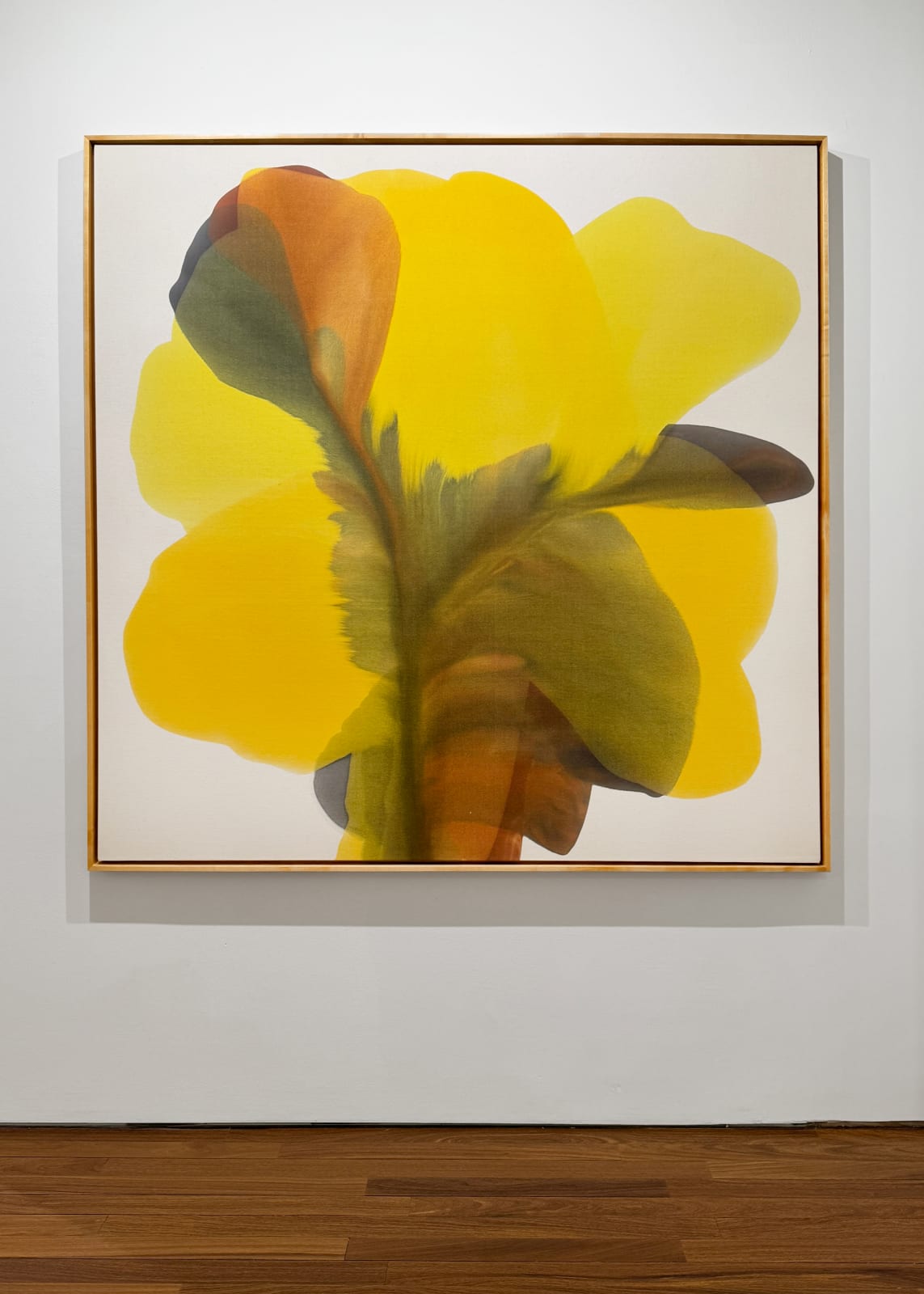 Installation view: Irene Monat Stern: I Cast My Own Shadow