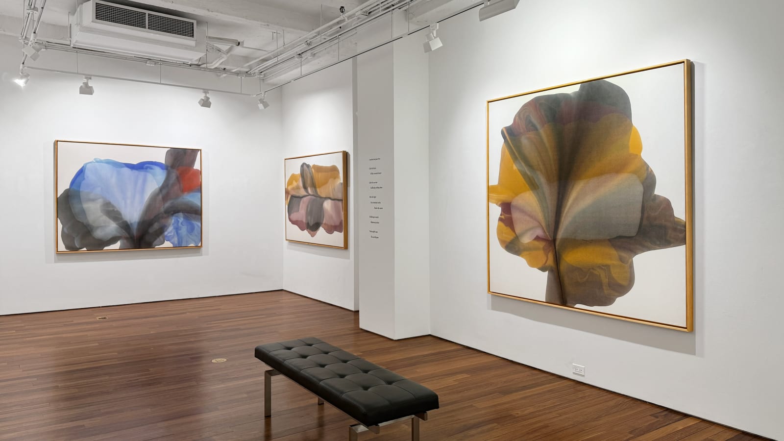 Installation view: Irene Monat Stern: I Cast My Own Shadow