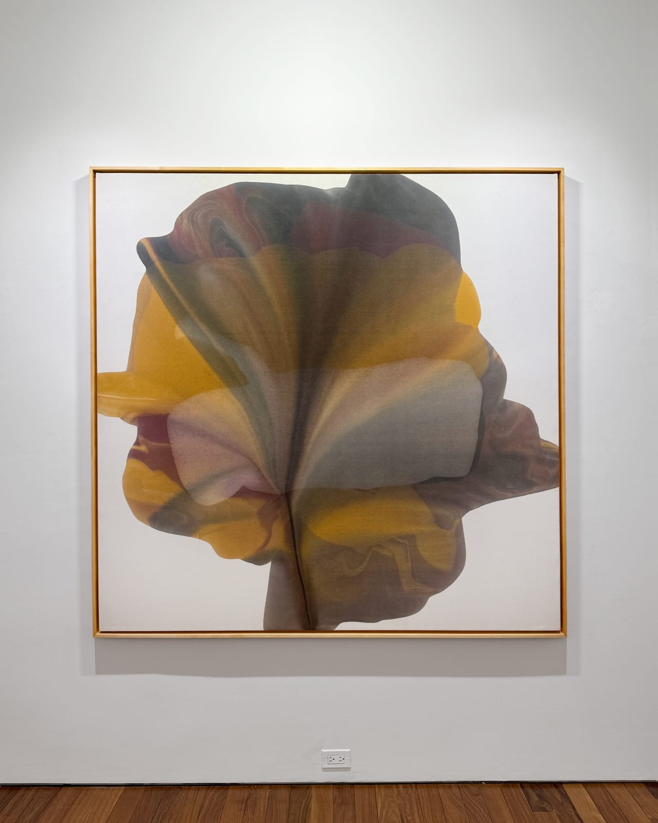 Installation view: Irene Monat Stern: I Cast My Own Shadow