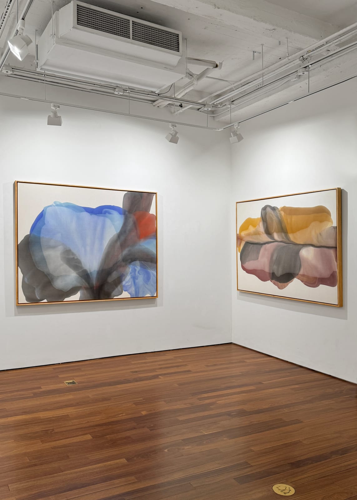 Installation view: Irene Monat Stern: I Cast My Own Shadow