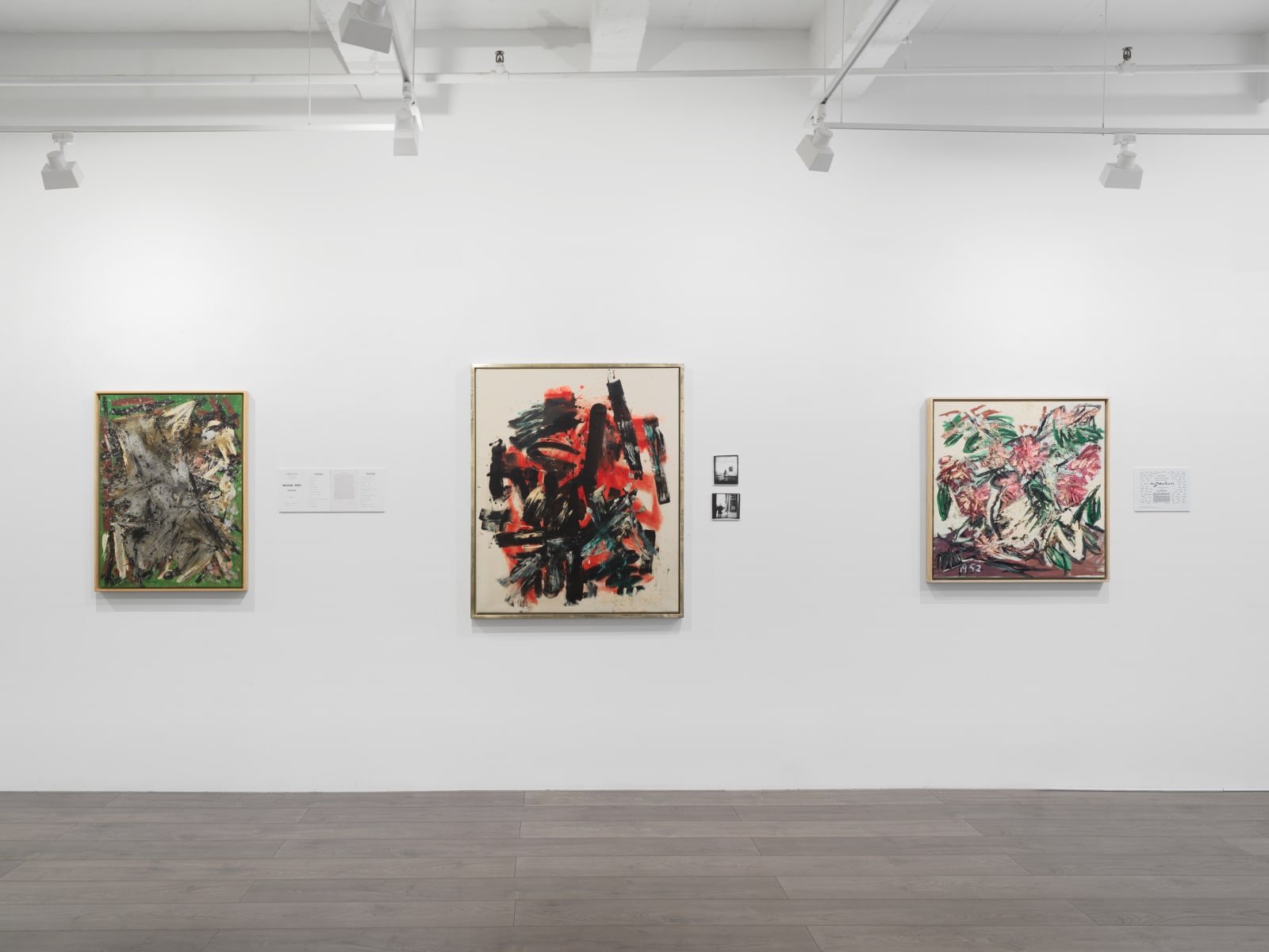 Installation view: Chronicling an Artistic Practice: Michael West Paintings and Archives from the 1950s to 1970s