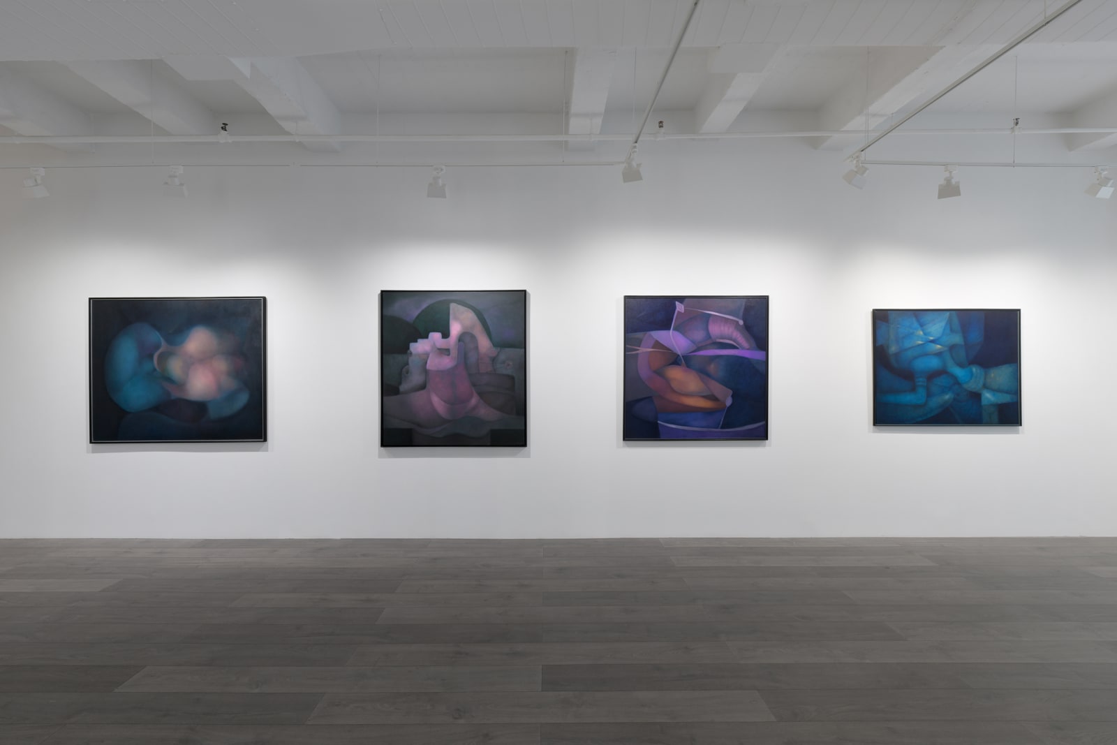 Installation view: Rafael Soriano: Elegido recuerdo (Chosen Memory)