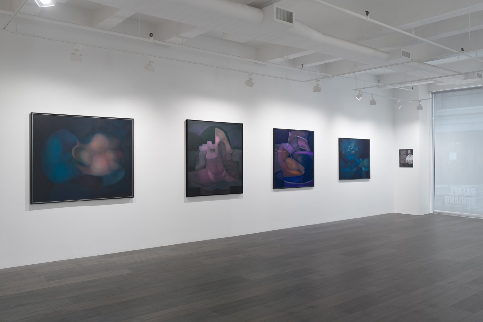 Installation view: Rafael Soriano: Elegido recuerdo (Chosen Memory)