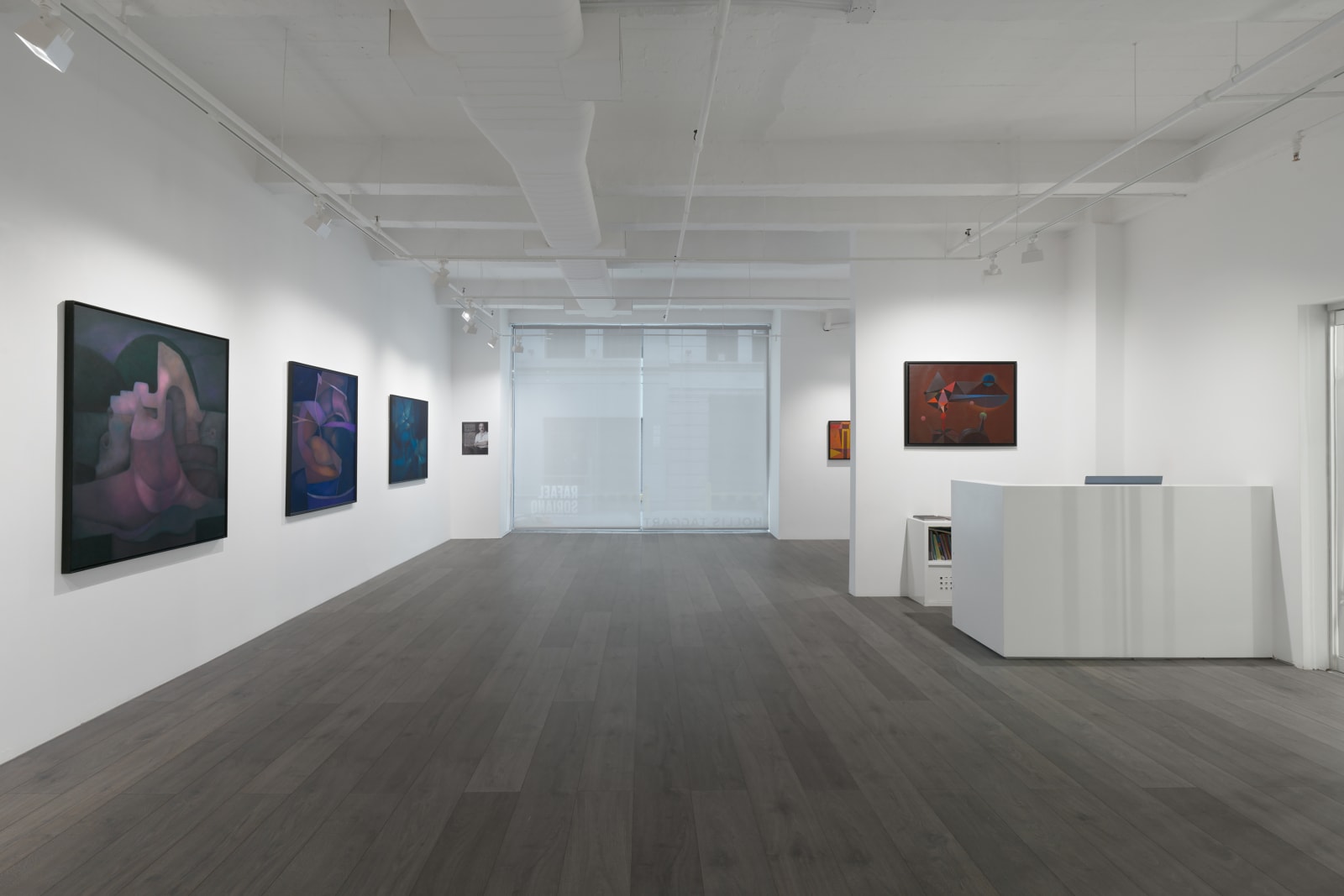 Installation view: Rafael Soriano: Elegido recuerdo (Chosen Memory)