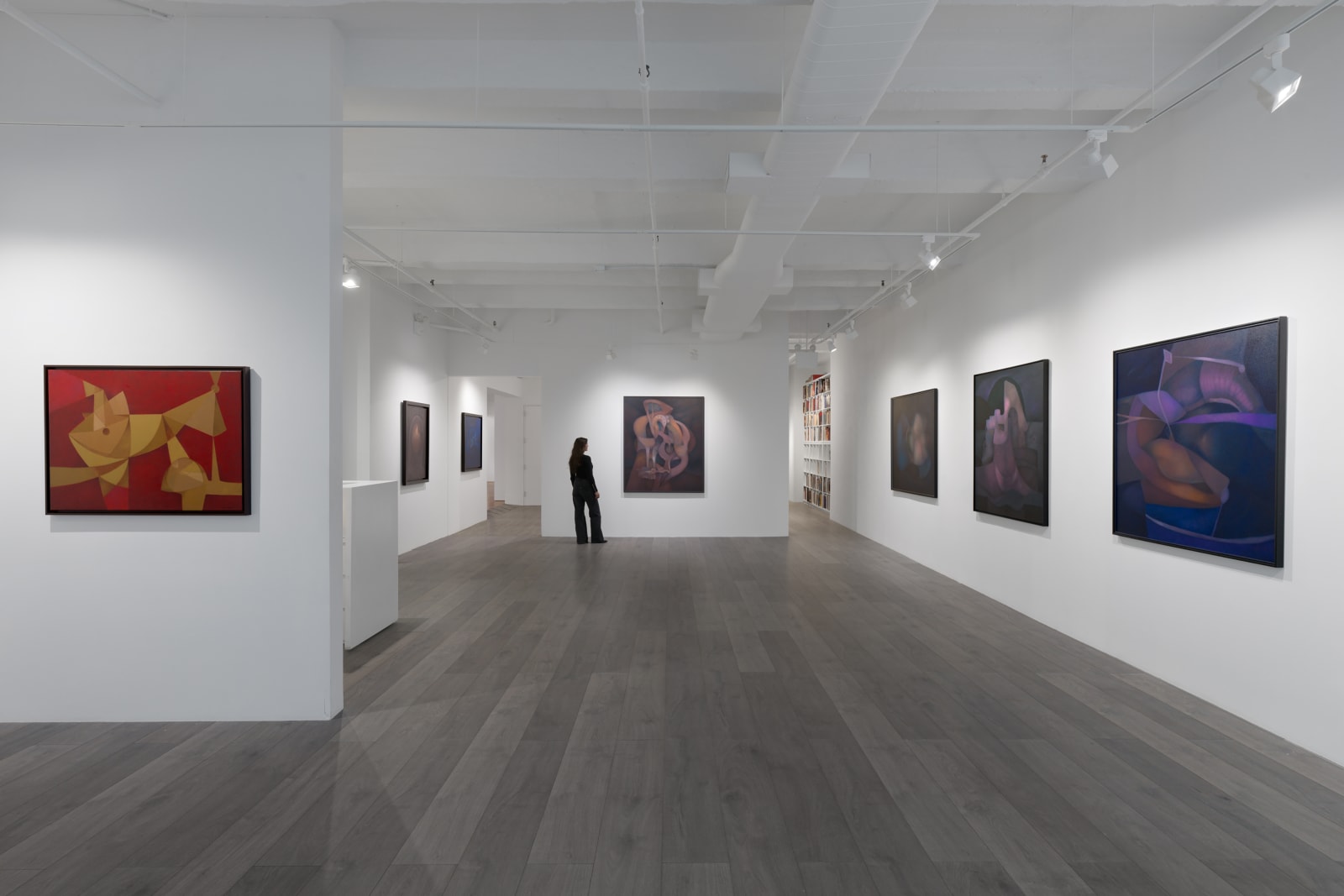 Installation view: Rafael Soriano: Elegido recuerdo (Chosen Memory)