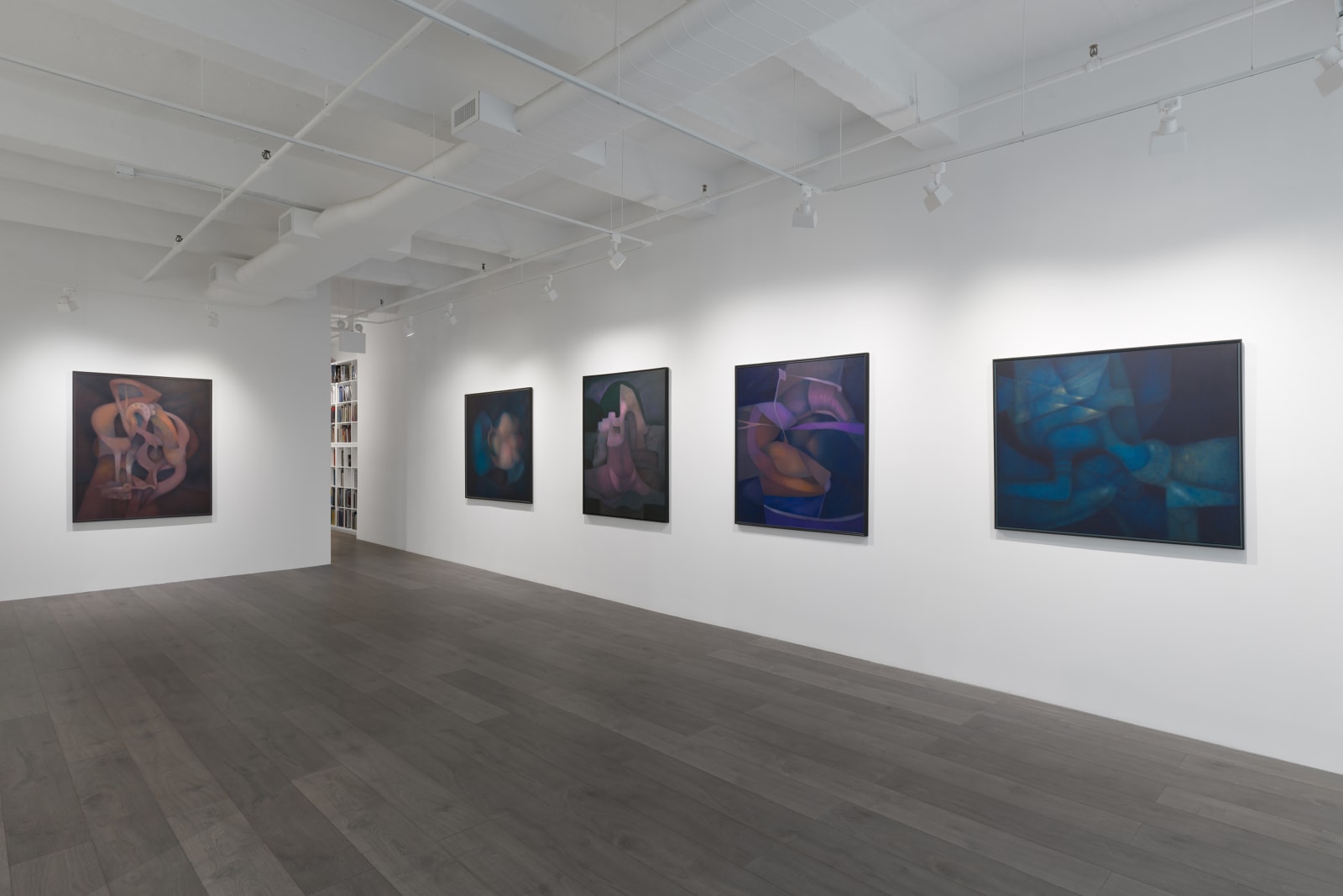 Installation view: Rafael Soriano: Elegido recuerdo (Chosen Memory)