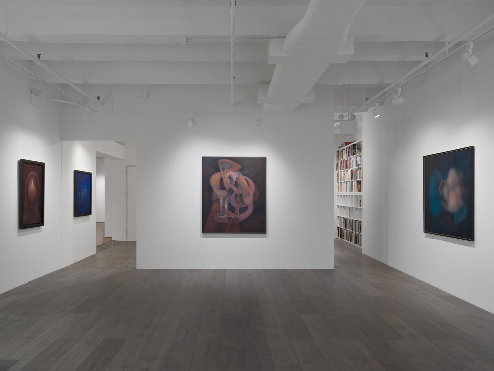 Installation view: Rafael Soriano: Elegido recuerdo (Chosen Memory)