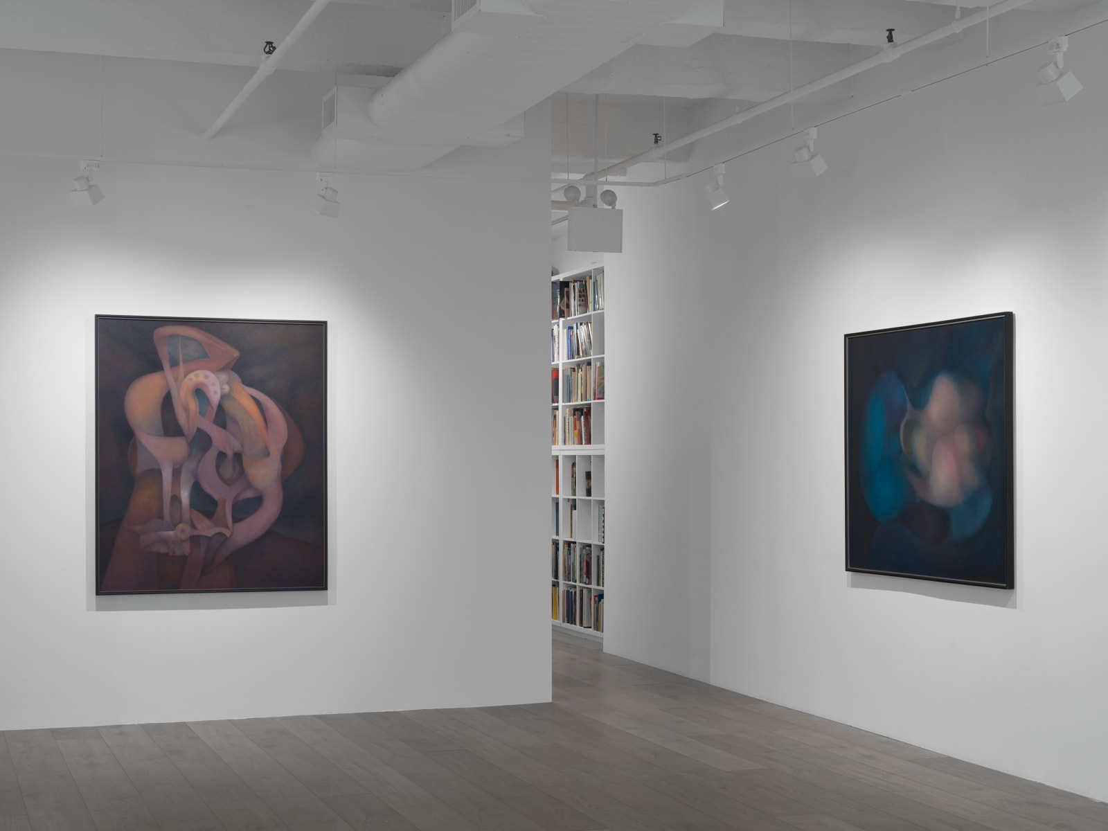 Installation view: Rafael Soriano: Elegido recuerdo (Chosen Memory)