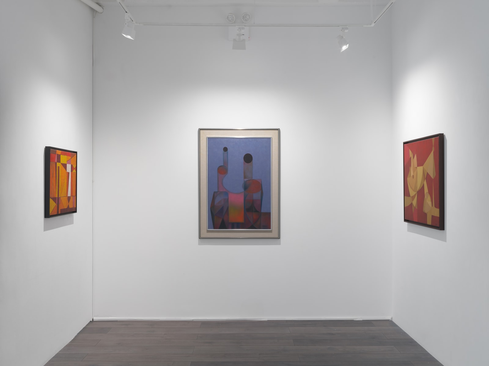 Installation view: Rafael Soriano: Elegido recuerdo (Chosen Memory)