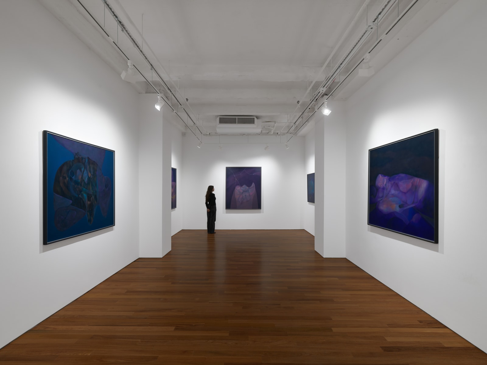 Installation view: Rafael Soriano: Elegido recuerdo (Chosen Memory)