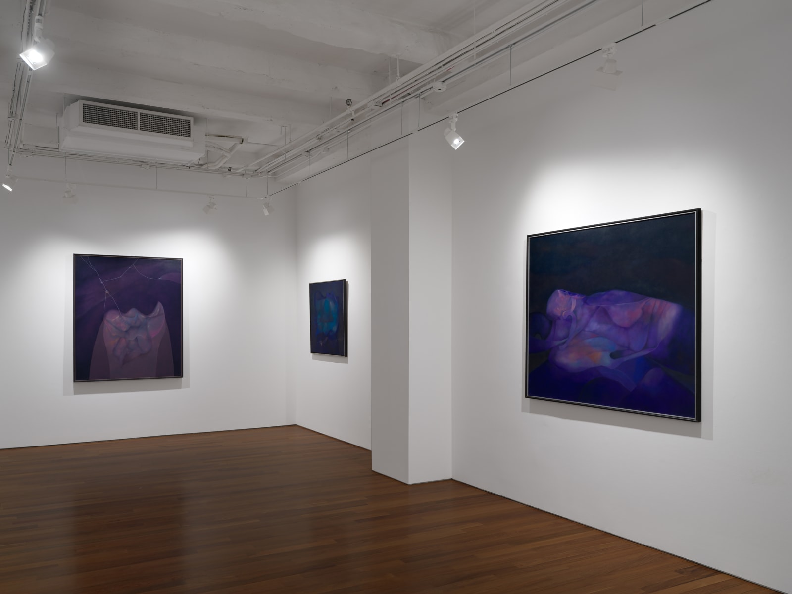 Installation view: Rafael Soriano: Elegido recuerdo (Chosen Memory)
