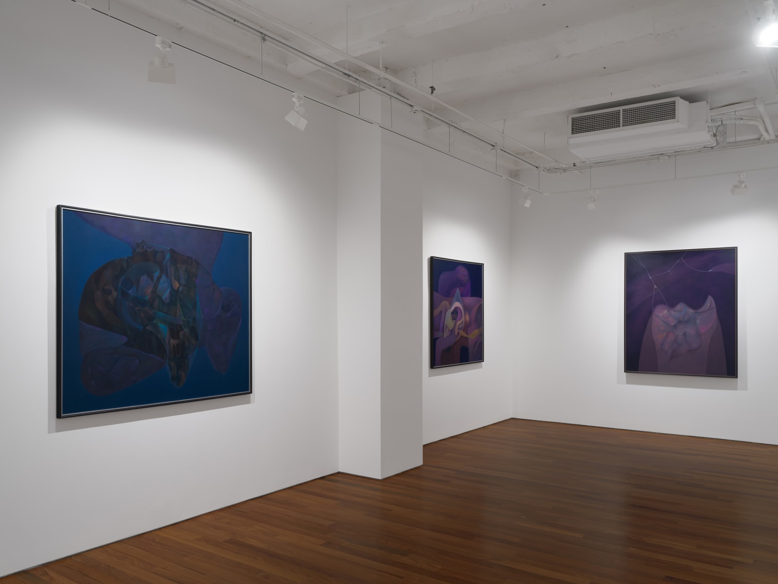 Installation view: Rafael Soriano: Elegido recuerdo (Chosen Memory)