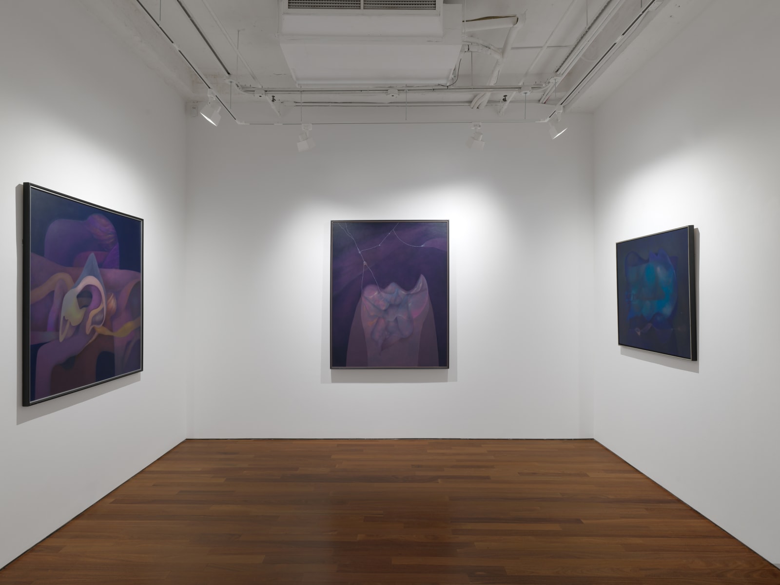 Installation view: Rafael Soriano: Elegido recuerdo (Chosen Memory)