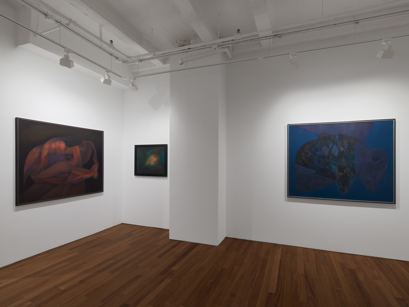 Installation view: Rafael Soriano: Elegido recuerdo (Chosen Memory)