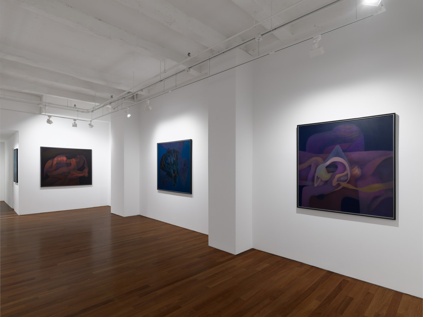 Installation view: Rafael Soriano: Elegido recuerdo (Chosen Memory)
