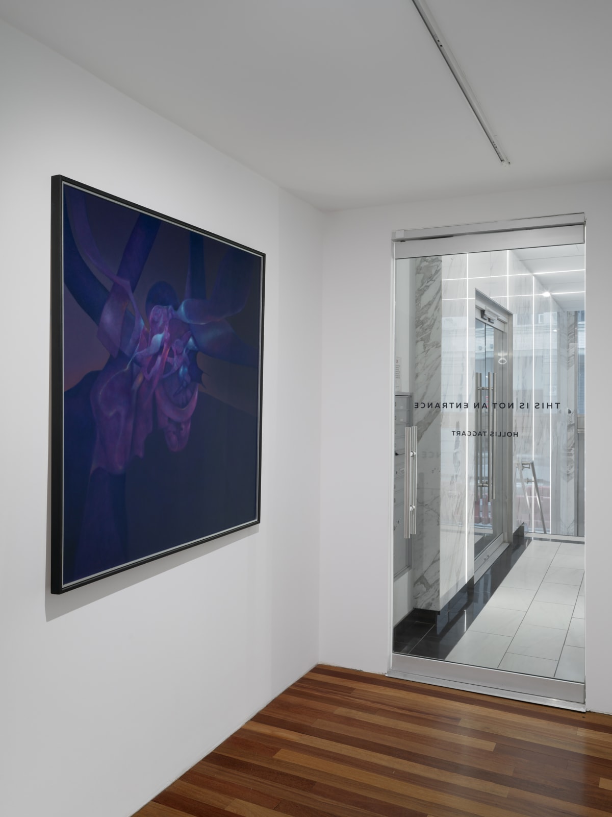 Installation view: Rafael Soriano: Elegido recuerdo (Chosen Memory)