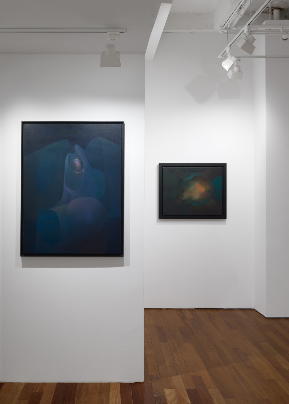 Installation view: Rafael Soriano: Elegido recuerdo (Chosen Memory)