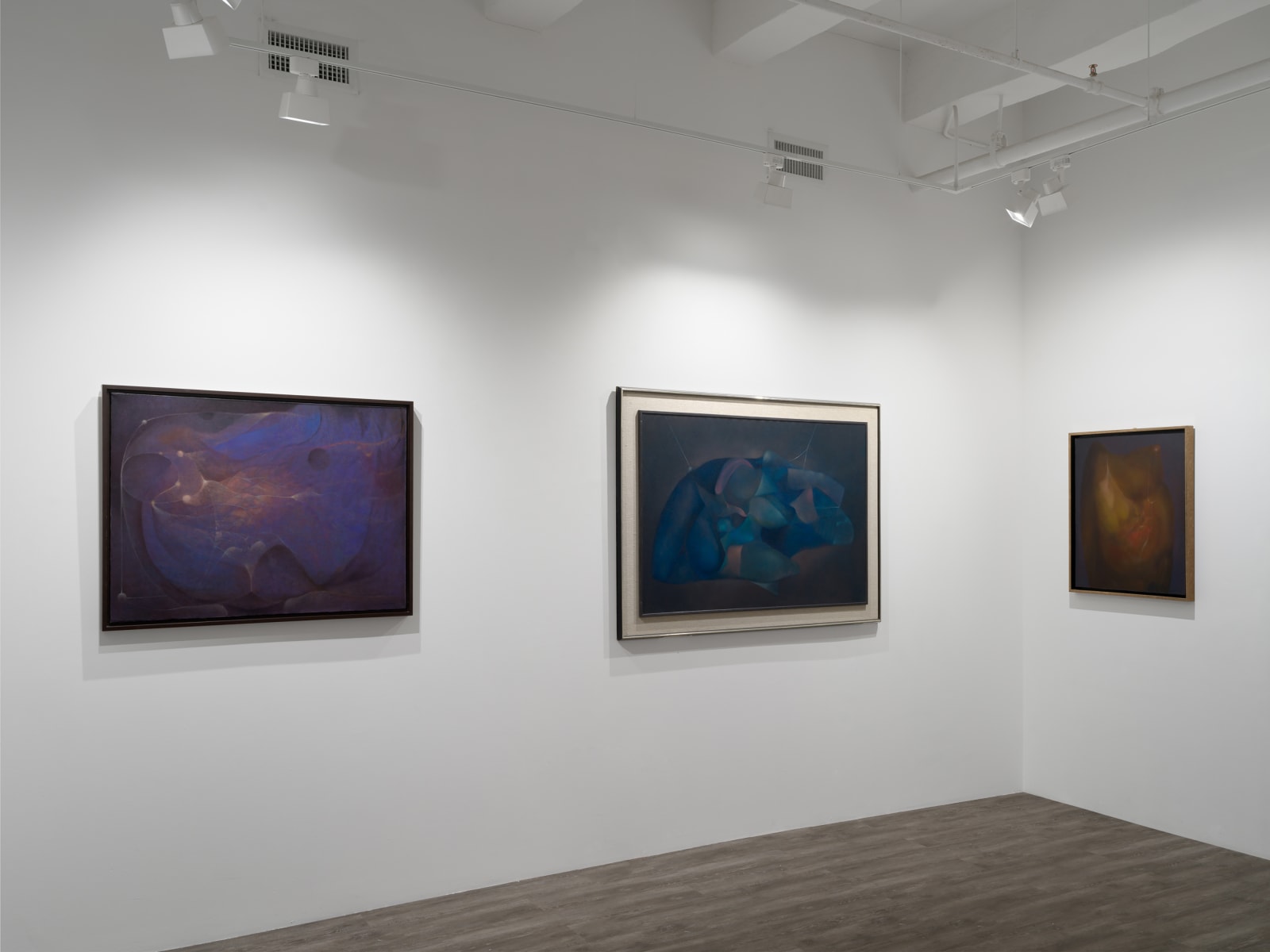 Installation view: Rafael Soriano: Elegido recuerdo (Chosen Memory)