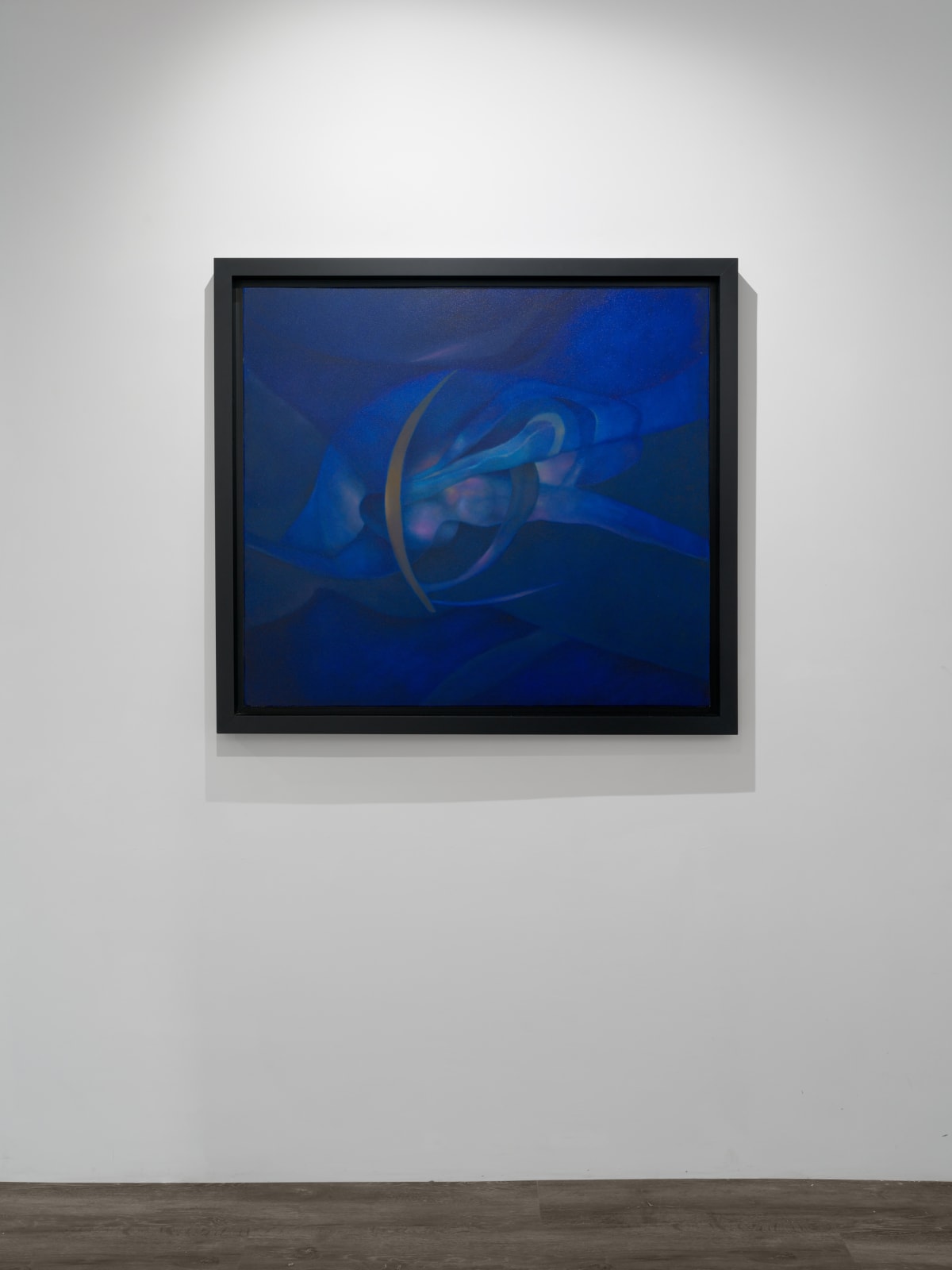 Installation view: Rafael Soriano: Elegido recuerdo (Chosen Memory)