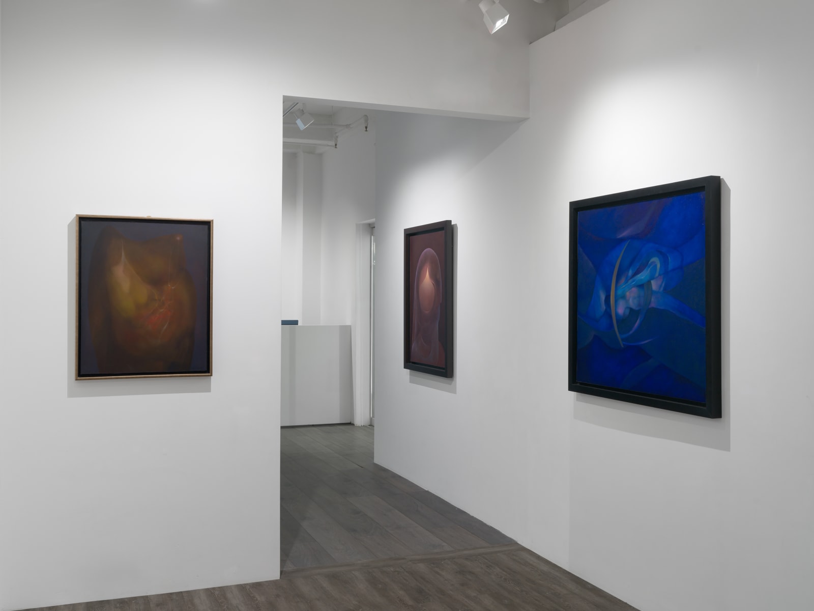 Installation view: Rafael Soriano: Elegido recuerdo (Chosen Memory)