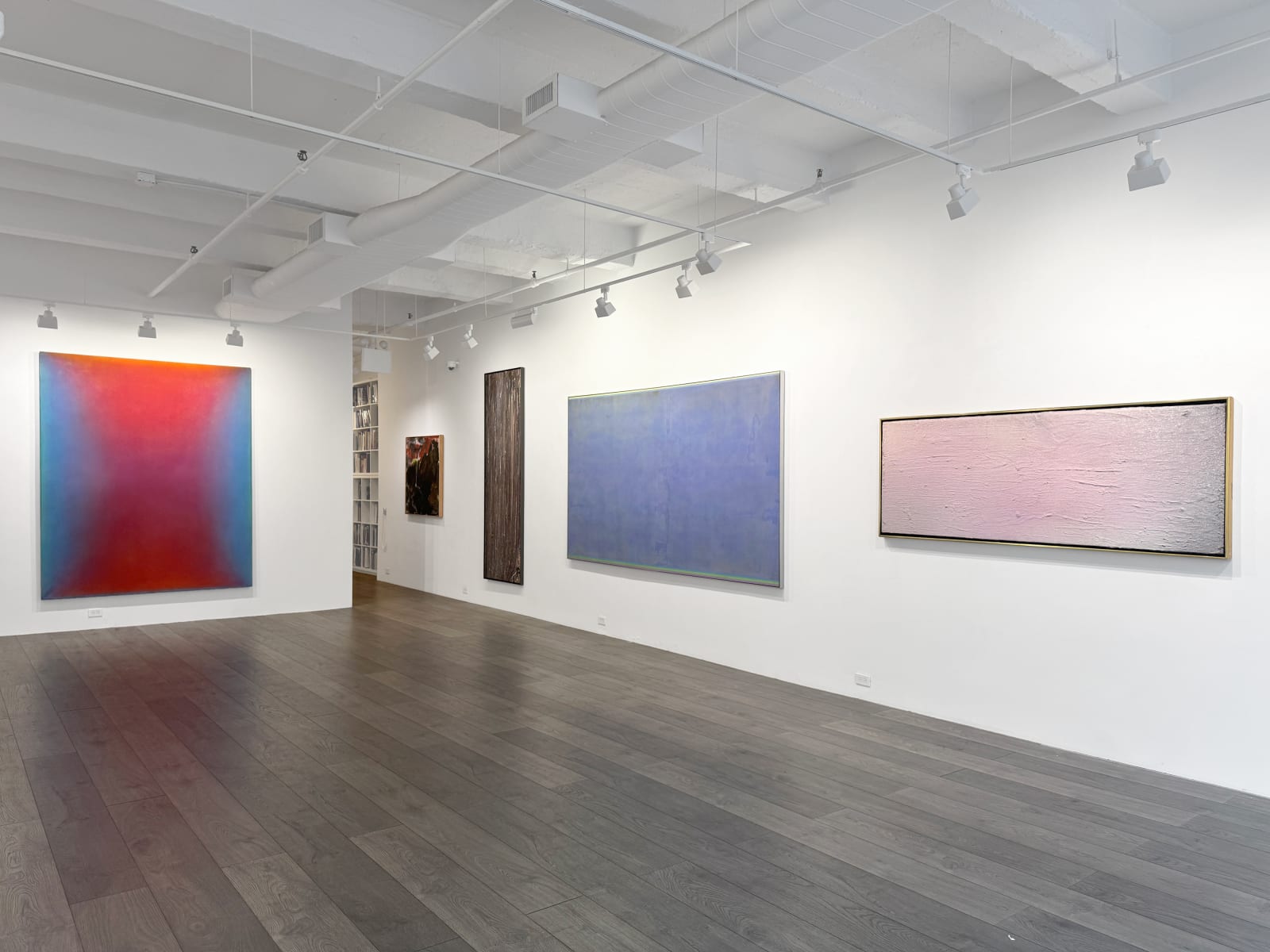 Installation view: Expanded Fields