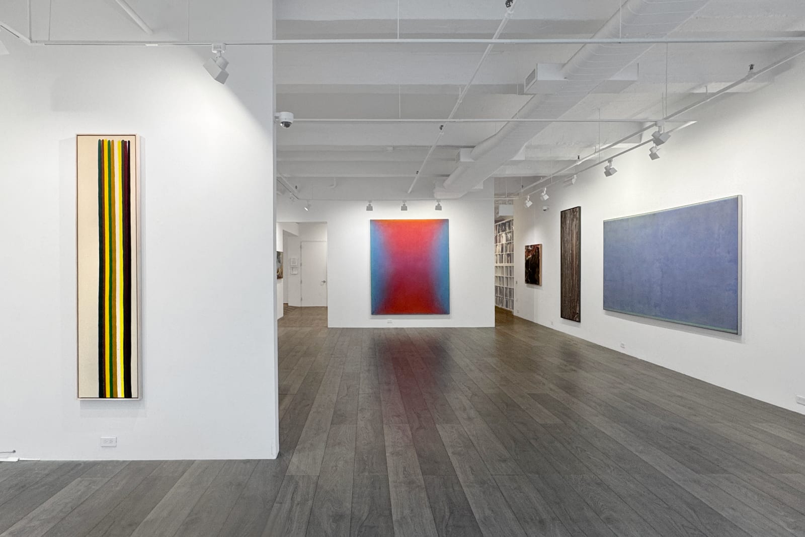 Installation view: Expanded Fields