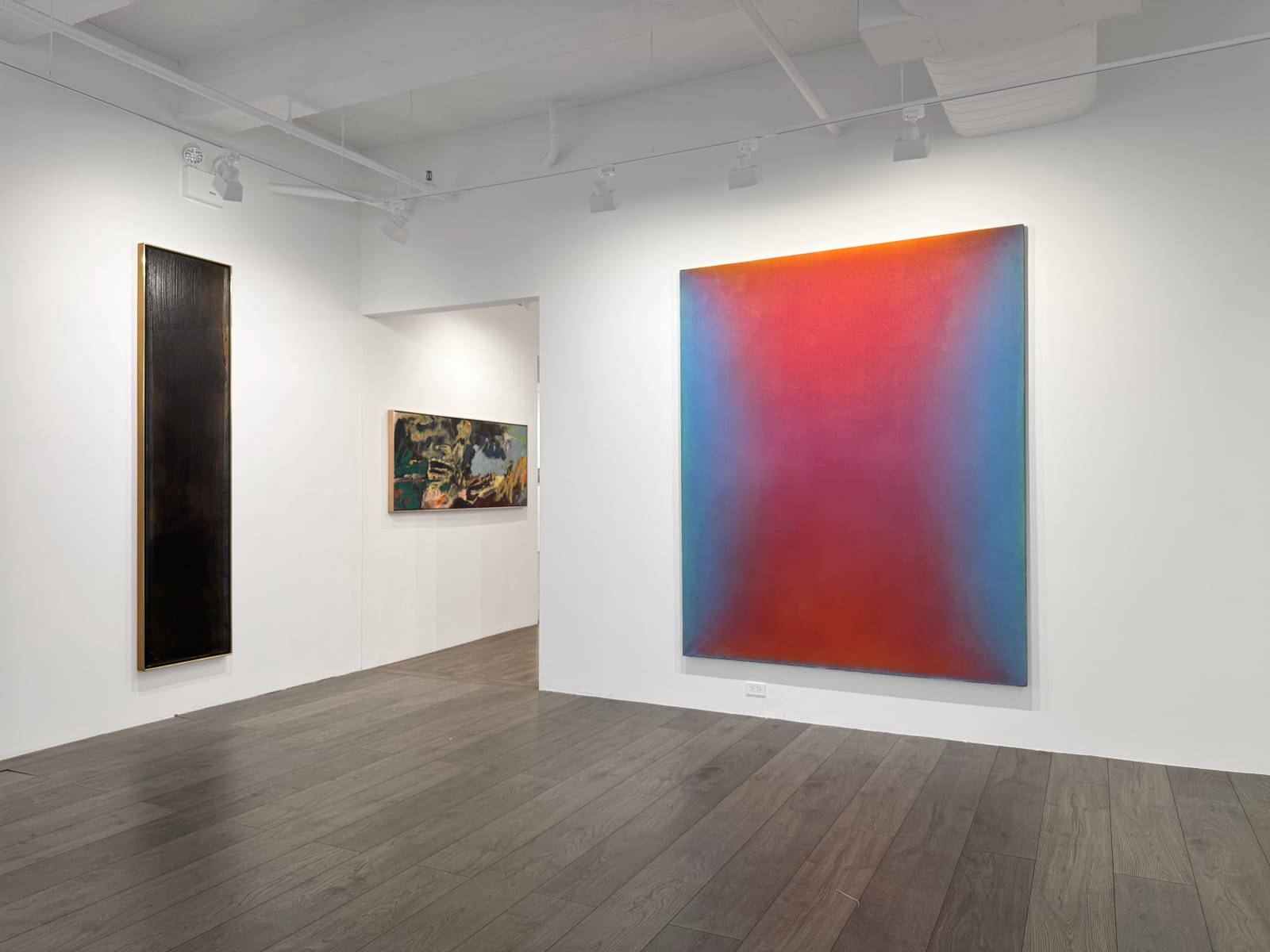 Installation view: Expanded Fields