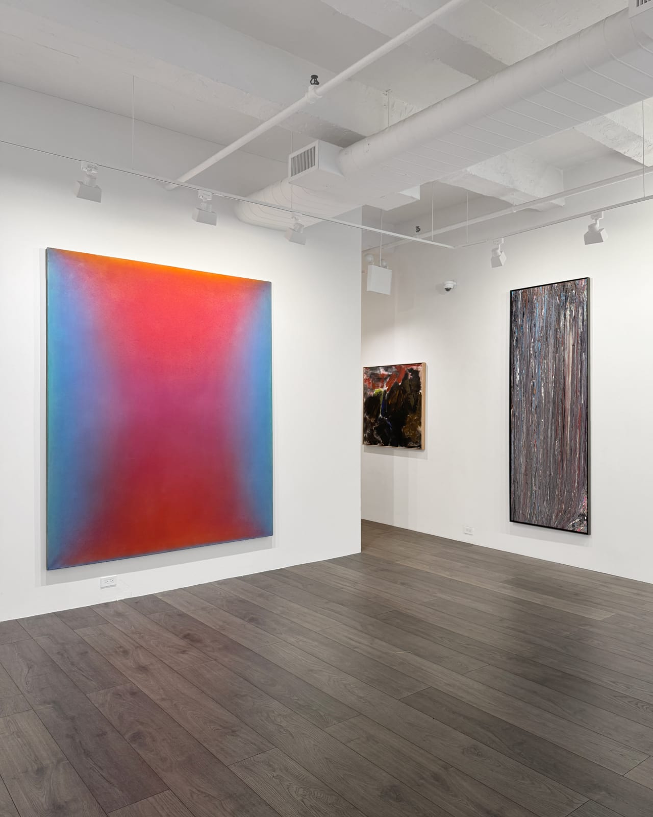 Installation view: Expanded Fields