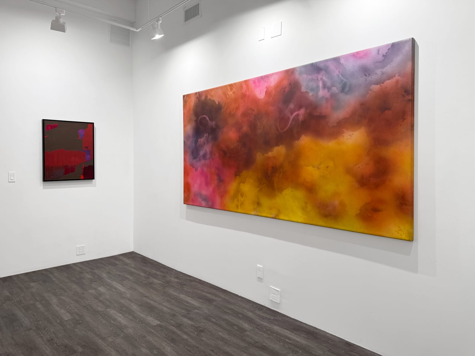 Installation view: Expanded Fields