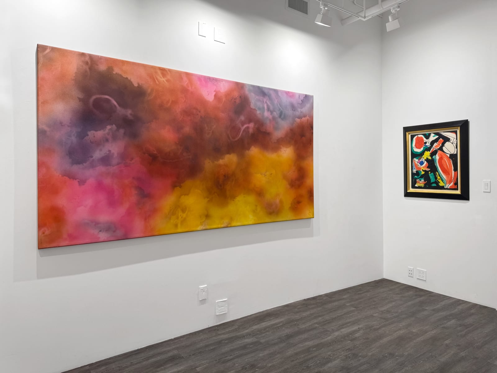 Installation view: Expanded Fields