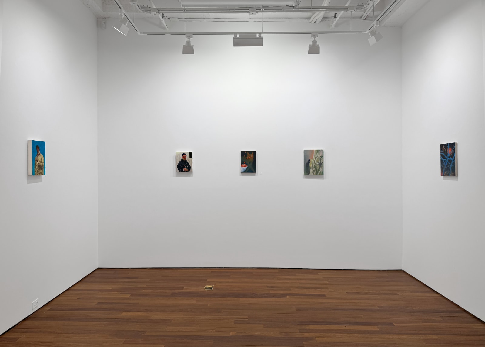 Installation view: Small Domains