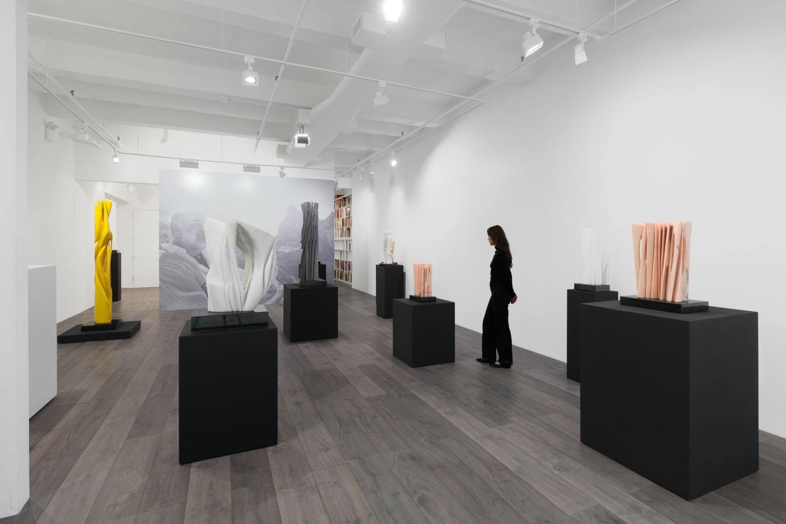 Installation view: Pablo Atchugarry: Secrets of the Material