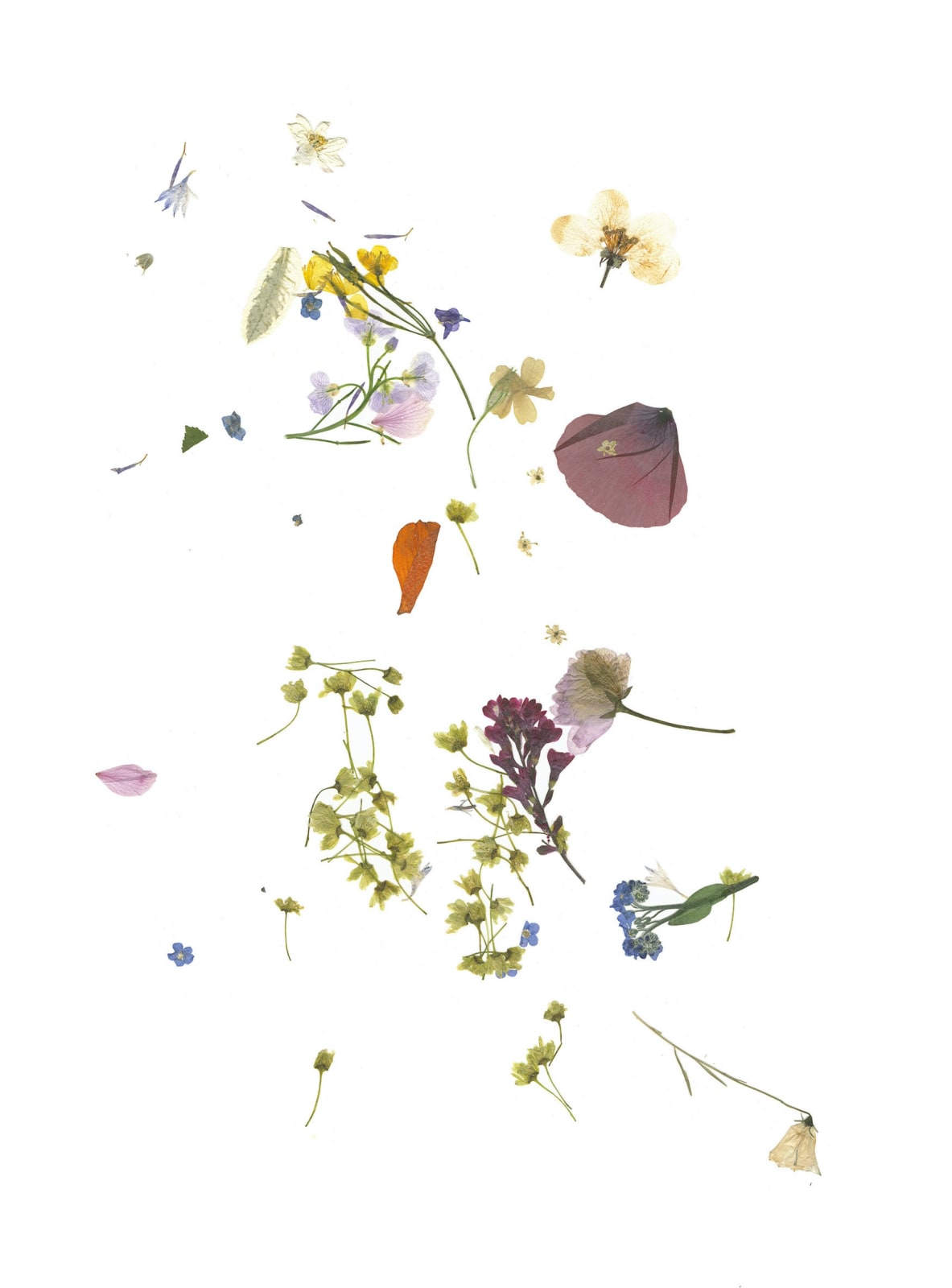 Pascale Lorge, Effleurement I, 2020